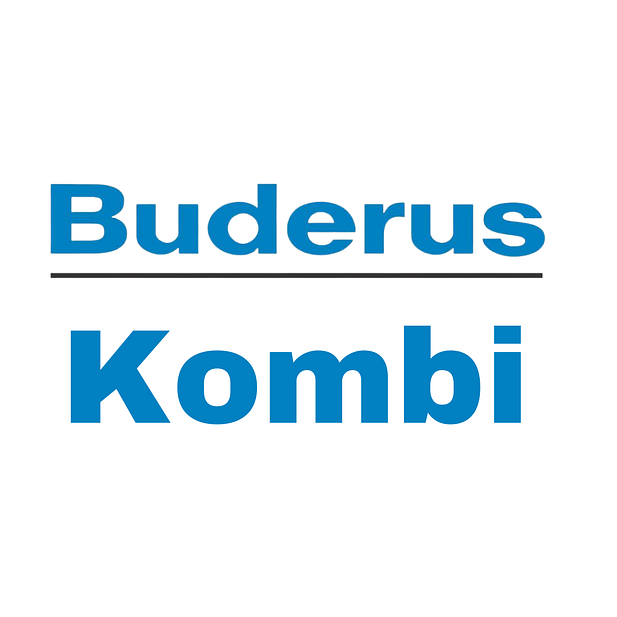 Buderus Kombi